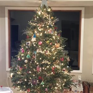 Meet your Posher, Maddy